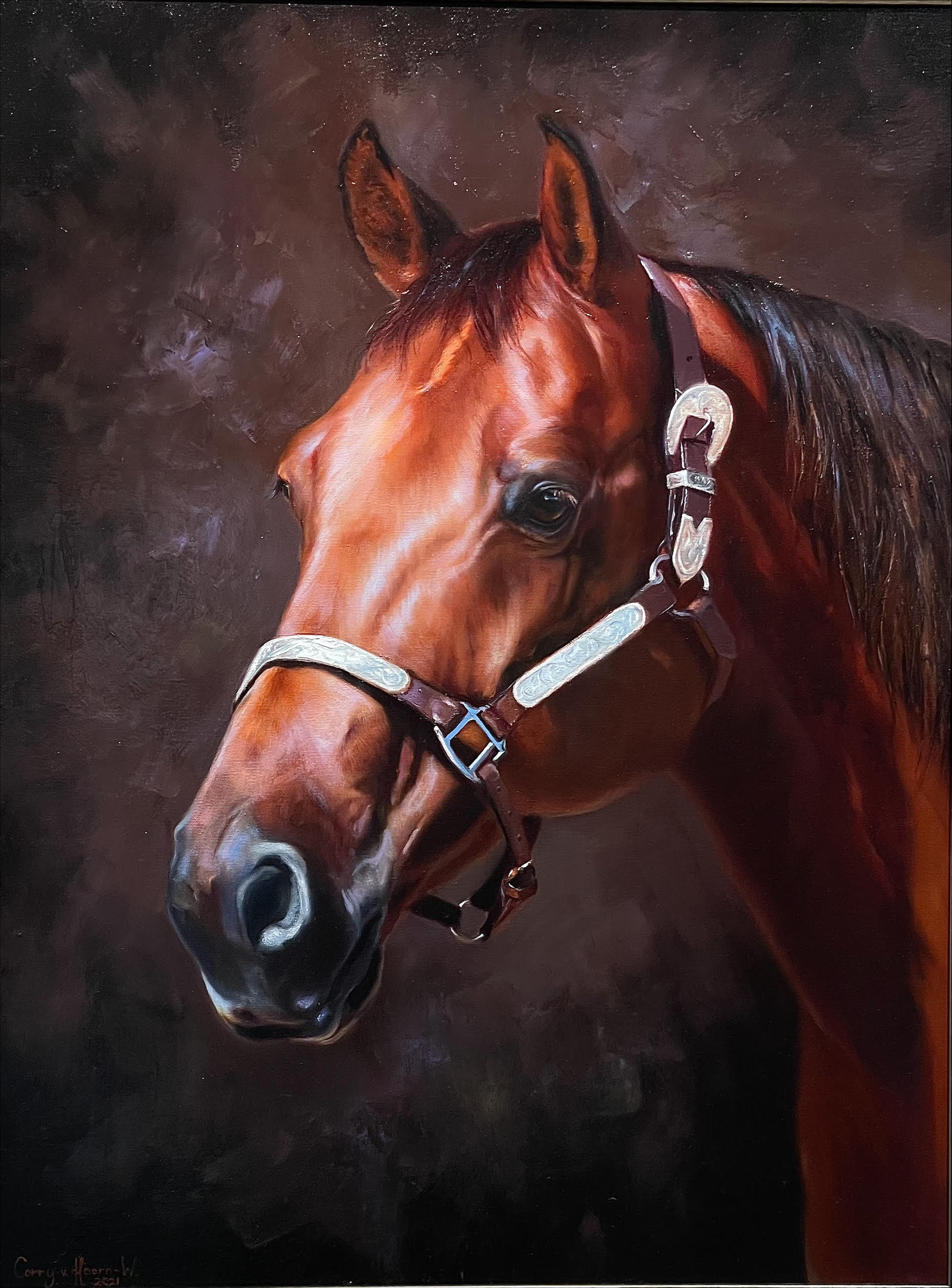 bruin paard portret Corry van Hoorn
